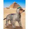 image:imageRubies Mummy Pet Costume for Dogs or Cats XLAs Shown