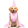 image:imageRubies Old Lady Pet Wig for Dogs or Cats SmallMedium2X