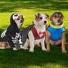 image:imageRubies Skeleton Pet Costume for Dogs or Cats LargeMedium