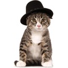image:imageRubies Top Hat Pet Hat for Dogs or Cats SMMediumLarge