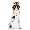 image:imageRubies Viking Pet Hat for Dogs or Cats MLSmallMedium