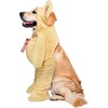 image:imageRubies Walking Teddy Bear Pet Costume for Dogs or Cats MediumBrown