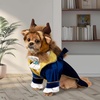 image:imageRubies at Party City Disneys Beauty amp The Beast Beast Pet Costume for For Dogs or Cats by Rubies MediumMedium