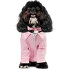 image:imageRubies at Party City Grease Pink Ladies Pet Costume for For Dogs or Cats by Rubies SmallExtra Small