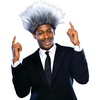 Sports Promoter Gray Wig