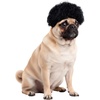 image:imageRubies Afro Pet Wig for Dogs or Cats SMSM