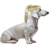 image:imageRubies Blonde Pony Tail Pet Costume for Dogs or Cats SMMediumLarge