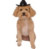 image:imageRubies Cowboy Pet Hat for Dogs or Cats SMMediumLarge