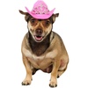 image:imageRubies Cowgirl Pet Hat with Faux Tiara for Dogs or Cats SMMediumLarge Pack of 1