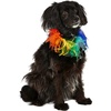 image:imageRubies Decorative Rainbow Pet Collar for Dogs or Cats SMLargeXLarge