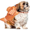 X-Large (Pack of 1)