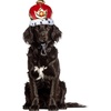 image:imageRubies King Pet Crown for Dogs or Cats MLSmallMedium