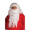 Deluxe Santa Wig and Beard