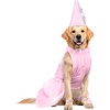 image:imageRubies Old Lady Pet Wig for Dogs or Cats SmallMedium2X