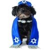 image:imageRubies YarmulkeTallis Pet Set for Dogs or Cats MLML
