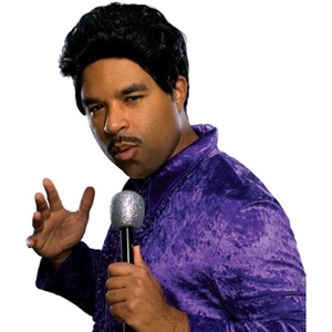 image:imageRubies Adult Character Costume WigMale Lead Singer Costume Wig