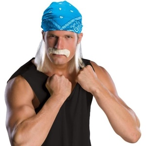 image:imageRubies Adult Character Costume WigWrestling Star Costume Wig