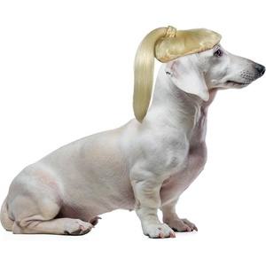 image:imageRubies Blonde Pony Tail Pet Costume for Dogs or Cats SMSmallMedium
