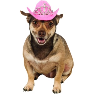 image:imageRubies Cowgirl Pet Hat with Faux Tiara for Dogs or Cats SMSmallMedium