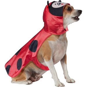 image:imageRubies Ladybug Pet Costume for Dogs or Cats SmallLarge