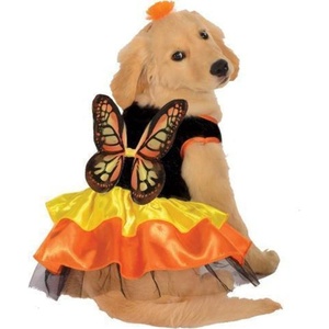 image:imageRubies Monarch Butterfly Pet Costume for Dogs or Cats SmallMedium Pack of 1