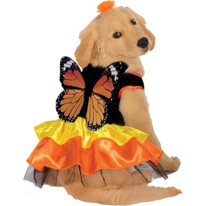 image:imageRubies Monarch Butterfly Pet Costume for Dogs or Cats SmallXLarge Pack of 1