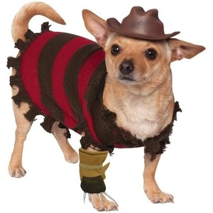 image:imageRubies at Party City A Nightmare on Elm Street Freddy Krueger Pet Costume for Dogs or Cats SmallAs Shown
