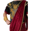 image:imageRubies Costume Mens Julius Caesar Adult CostumeMulti