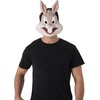 image:imageRubies Unisex Warner Bros Space Jam Tweety Bird Plastic HalfMaskBugs Bunny