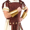 image:imageForum Deluxe Roman Costume WristletsGold