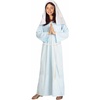 image:imageForum Novelties Biblical Times Mary Costume Child LargeBlue
