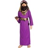 image:imageForum Novelties Biblical Times Purple Wiseman Child Costume LargePurple