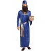 image:imageForum Novelties Mens Biblical Times Wise Man CostumeBlue