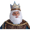 image:imageForum Novelties Mens King Neptune WigWhite