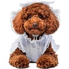 X-Large (Pack of 1)