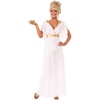 image:imageRubies Costume Womens Grecian Adult Costume DressMulti