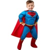 image:imageRubies DC League of Super Pets Superman Costume for Toddlers Boys 4T4T