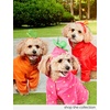 image:imageRubies Apple Pet Hoodie Costume for Dogs or Cats SmallAs Shown