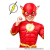 image:imageRubies DC Comics Superheroes Costume for Toddlers Baby Boys CostumeThe Flash