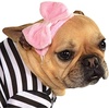 image:imageRubies Fifties Girl Pet Costume for Dogs or Cats MediumLarge