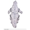 image:imageRubies Godzilla Inflatable Costume for Kids Boys CostumeMechagodzilla
