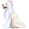 image:imageRubies Walking Bunny Pet Costume for Dogs or Cats SmallAs Shown