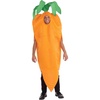 image:imageForum Adult Carrot CostumeOrange