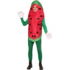 image:imageForum Novelties Watermelon CostumeRed