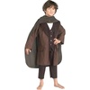 image:imageRubies The Hobbit Gandalf The Grey CostumeFrodo