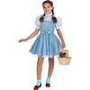 image:imageRubies The Wizard of Oz Dorothy Costume for Kids GirlsOne Color