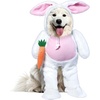 image:imageRubies Walking Bunny Pet Costume for Dogs or Cats SmallAs Shown