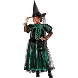 image:imageThe Wizard of Oz Wicked Witch of the West Costume for Kids by Rubies Girls LargeAs Shown