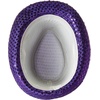 image:imageForum Mardi Gras Costume Party AccessoryPurple