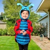 image:imageRubies Childrens Grouchy Ladybug InfantToddler Costume Tunic and HeadpieceBlue  Red  Black